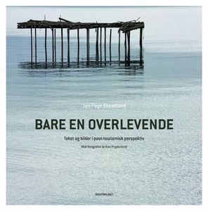Bare en overlevende (ebok) av Jan Faye Braadl