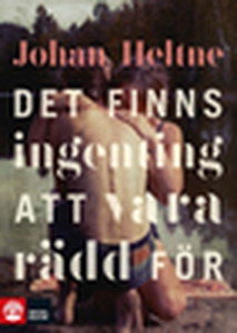 Det finns ingenting att vara rädd för (e-bok) a