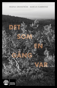 Det som en gång var (e-bok) av Helena Granström