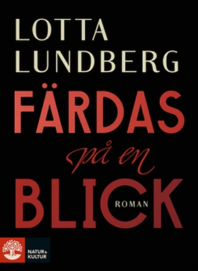 Färdas på en blick (e-bok) av Lotta Lundberg