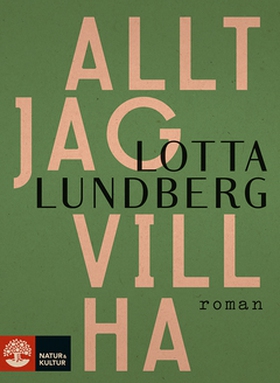 Allt jag vill ha (e-bok) av Lotta Lundberg