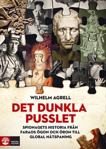 Det dunkla pusslet (e-bok) av Wilhelm Agrell