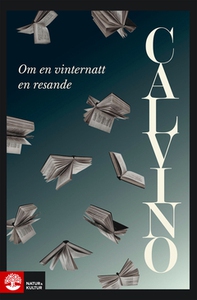 Om en vinternatt en resande (e-bok) av Italo Ca