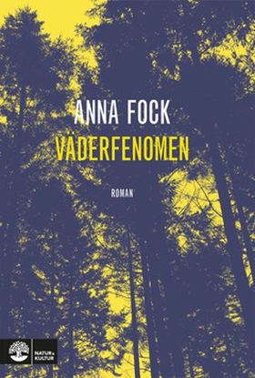Väderfenomen (e-bok) av Anna Fock