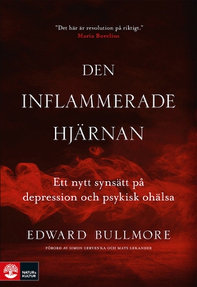 Den inflammerade hjärnan (e-bok) av Edward Bull