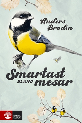 Smartast bland mesar (e-bok) av Anders Brodin