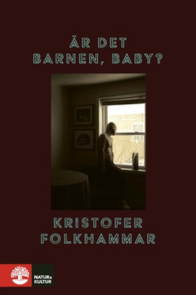 Är det barnen, baby? (e-bok) av Kristofer Folkh