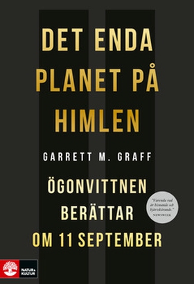 Det enda planet på himlen (e-bok) av Garett M G
