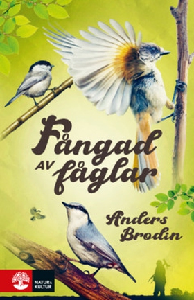 Fångad av fåglar (e-bok) av Anders Brodin
