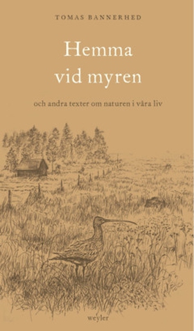 Hemma vid myren (e-bok) av Tomas Bannerhed