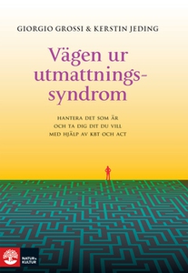 Vägen ur utmattningssyndrom (e-bok) av Giorgio