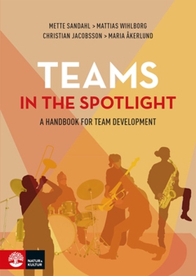 Teams in the spotlight (e-bok) av Christian Jac