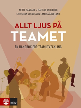 Allt ljus på teamet (e-bok) av Mette Sandahl, M