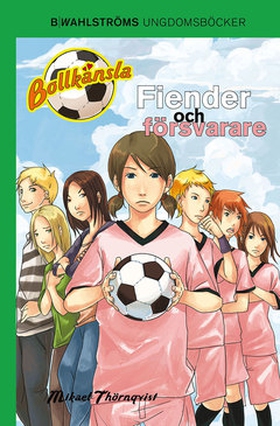 Fiender och försvarare (e-bok) av Mikael Thörnq