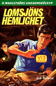 Vi tre 5 - Lomsjöns hemlighet (e-bok) av Sid Ro