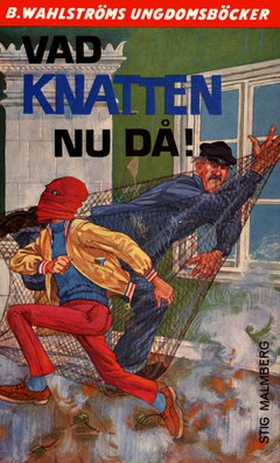 Knatten 10 - Vad Knatten nu då! (e-bok) av Stig