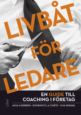 Livbåt för ledare (e-bok) av Anja Lindberg, Dom