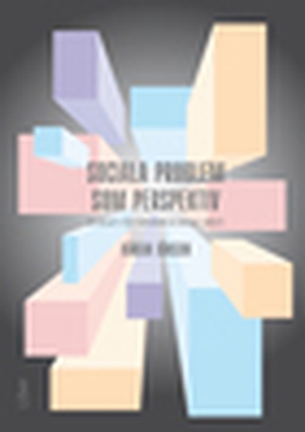 Sociala problem som perspektiv (e-bok) av Håkan