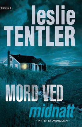 Mord ved midnatt (ebok) av Leslie Tentler
