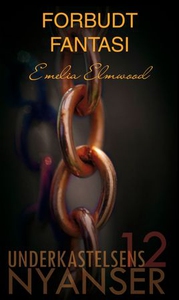 Forbudt fantasi (ebok) av Emelia Elmwood