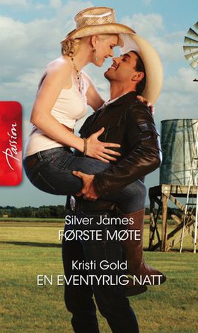 Første møte ; En eventyrlig natt (ebok) av Silver James