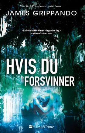 Hvis du forsvinner (ebok) av James Grippand