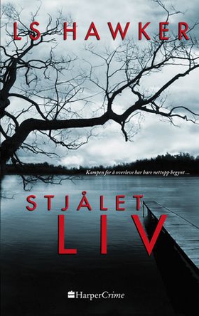 Stjålet liv