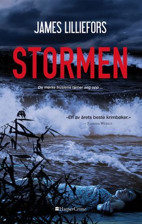Stormen (ebok) av James Lilliefors
