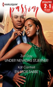 Under Nevadas stjerner ; En stor tabbe (ebok)