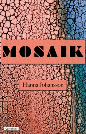 Mosaik (e-bok) av Hanna Johansson