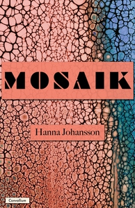Mosaik (e-bok) av Hanna Johansson