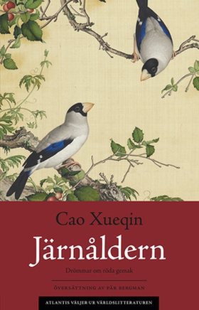 Järnåldern (e-bok) av Xueqin Cao