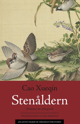Stenåldern (e-bok) av Xueqin Cao