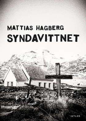 Syndavittnet (e-bok) av Mattias Hagberg