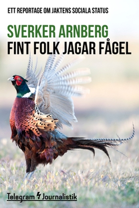 Fint folk jagar fågel (e-bok) av Sverker Arnber