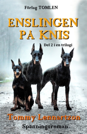 Enslingen på Knis- Del två i en trilogi (e-bok)