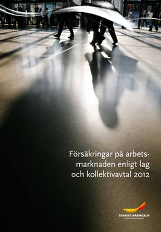 Försäkringar på arbetsmarknaden enligt lag och kollektivavtal 2012