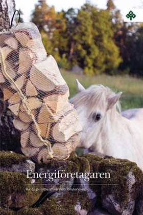 Energiföretagaren (e-bok) av Valter Andersson, 