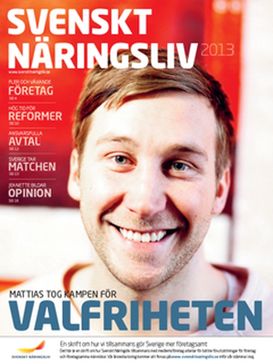 Verksamhetsberättelse 2013