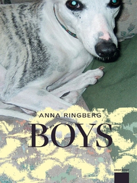 Boys (e-bok) av Anna Ringberg
