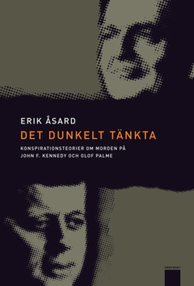 Det dunkelt tänkta (e-bok) av Erik Åsard