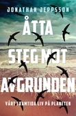 Åtta steg mot avgrunden