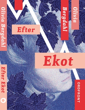 Efter Ekot (e-bok) av Olivia Bergdahl
