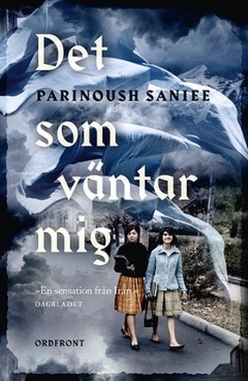 Det som väntar mig (e-bok) av Parinoush Saniee
