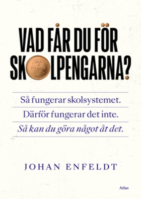 Vad får du för skolpengarna? (e-bok) av Johan E