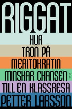 Riggat (e-bok) av Petter Larsson