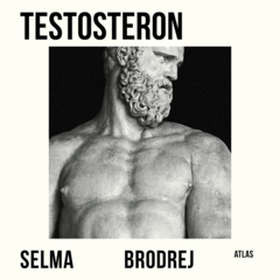 Testosteron (e-bok) av Selma Brodrej