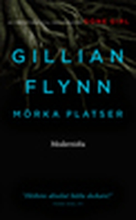 Mörka platser (e-bok) av Gillian Flynn