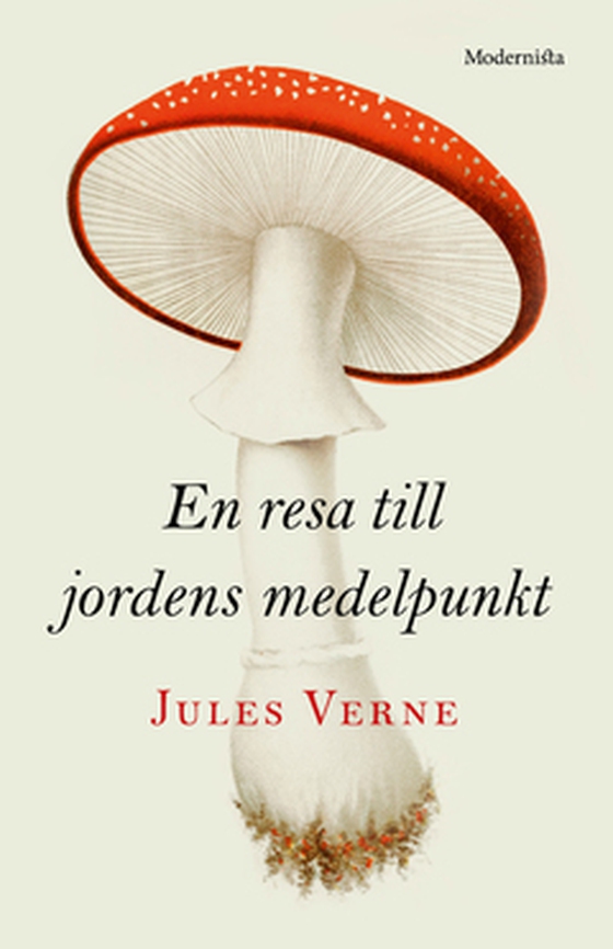 En resa till jordens medelpunkt (e-bok) av Jules Verne