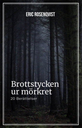 Brottstycken ur mörkret (e-bok) av Eric Rosenqv